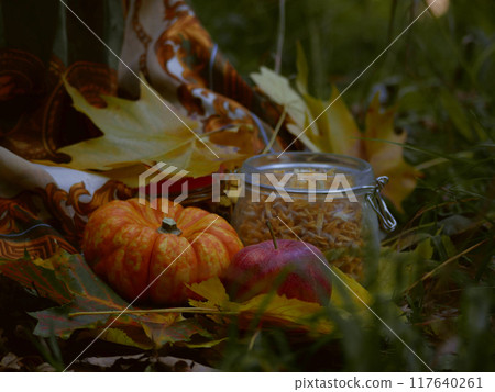Design autumn outdoors still life flatlay. Autumn Halloween picnic concept. Pumpkin, apple, dried flowers in a jar and fallen yellow leaves on a blanket on the grass. Warm sunny autumn day Design autumn outdoors still life flatlay. Autumn Halloween picnic concept. Pumpkin, apple, dried flowers in a jar and fallen yellow leaves on a blanket on the grass. Warm sunny autumn day 117640261