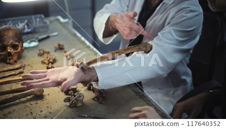 Scientists doing historical research of prehistoric human skeleton 117640352
