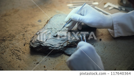 Close up of archaeologist in gloves cleaning fossil using professional tools 117640364