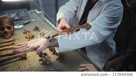 Scientists doing historical research of prehistoric human skeleton Scientists doing historical research of prehistoric human skeleton 117640366