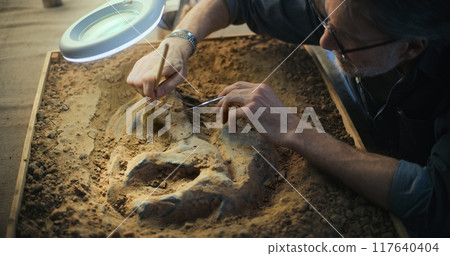 Mature archaeologist cleans ancient extinct human or animal bones Mature archaeologist cleans ancient extinct human or animal bones 117640404