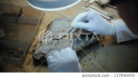 Close up of archaeologist doing fossil analysis, cleaning artifact 117640450