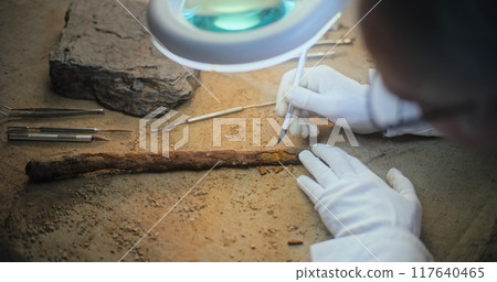 Archaeologist cleans fossil ancient wooden spear under lamp using tools Archaeologist cleans fossil ancient wooden spear under lamp using tools 117640465