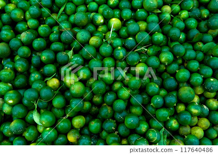 The texture of many green, ripe, juicy limes lie in a shop display case. The texture of many green, ripe, juicy limes lie in a shop display case. 117640486