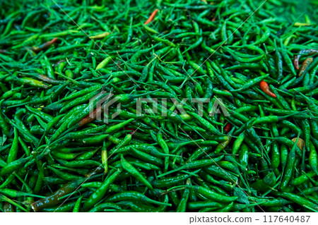 The texture of many green spicy long peppers is displayed in the store. 117640487