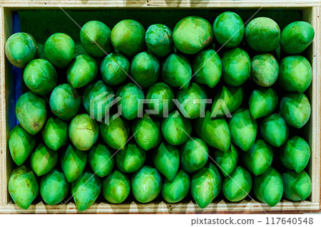 The green mango variety is carefully and evenly placed on the counter in the store. The green mango variety is carefully and evenly placed on the counter in the store. 117640548