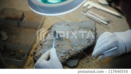 Close up of archaeologist doing fossil analysis, cleaning artifact Close up of archaeologist doing fossil analysis, cleaning artifact 117640550