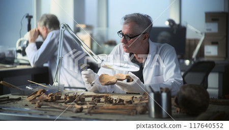 Senior archaeologist examines and analyzes fossil remains 117640552