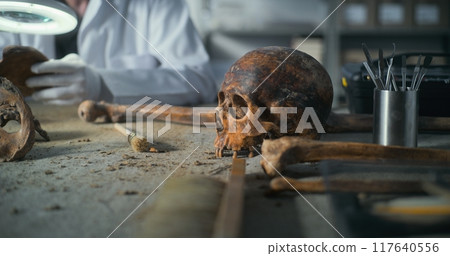 Fossil skull of extinct prehistoric man and professional tools on the table 117640556