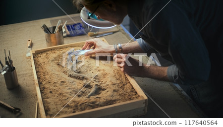 Mature archaeologist takes measurements of dinosaur skeleton Mature archaeologist takes measurements of dinosaur skeleton 117640564