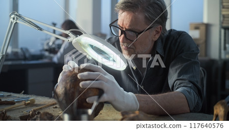Male archaeologist cleans fossil remains with brush, examines bones of prehistoric human 117640576
