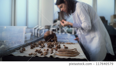 Female archaeologist works with fossil remains in archaeological laboratory 117640579