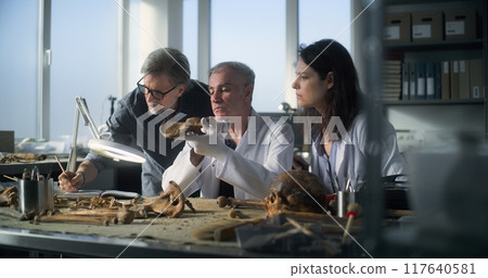 Group of scientists study and analyze fossil remains of bones of prehistoric man 117640581