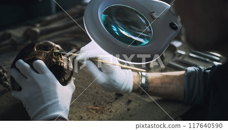 Male scientist cleans fossil remains of ancient human using brush 117640590