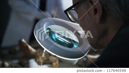 Mature archaeologist studies bones of ancient human and cleans with brush Mature archaeologist studies bones of ancient human and cleans with brush 117640599