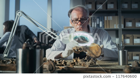 Senior archaeologist works with fossil remains in archaeological lab Senior archaeologist works with fossil remains in archaeological lab 117640600