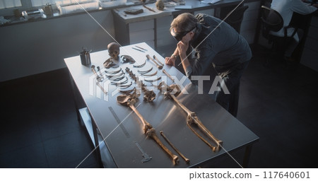 High angle of archaeologist in AR headset studying remains of prehistoric human skeleton 117640601