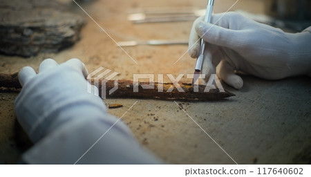 Archaeologist in gloves cleans fossil ancient wooden spear using professional tools 117640602