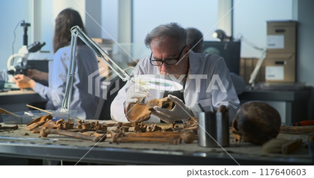 Senior archaeologist examines and analyzes fossil remains Senior archaeologist examines and analyzes fossil remains 117640603