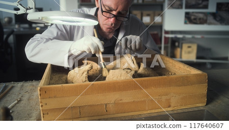 Archaeologist cleans ancient cultural heritage from sand using tools and brush Archaeologist cleans ancient cultural heritage from sand using tools and brush 117640607
