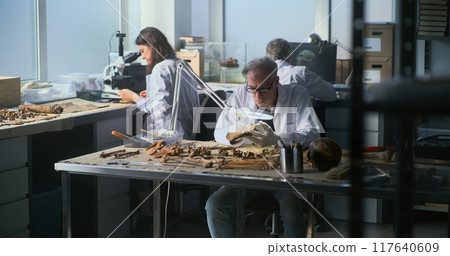 Senior archaeologist cleans and studies bones remains in archaeological lab 117640609