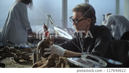 Mature archaeologist cleans fossil remains using professional tools 117640622