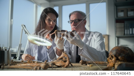 Senior paleoanthropologist examines fossil remains of bones, shows to female scientist 117640645