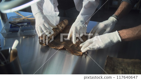 Two archaeologists carefully roll out ancient Egyptian papyrus on the table 117640647
