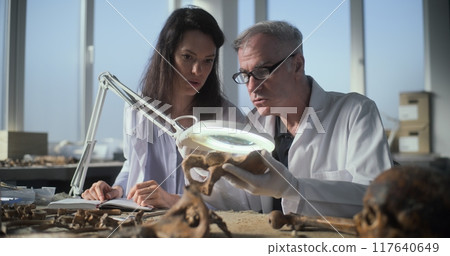 Male and female paleoanthropologists studying fossil remains of ancient bones 117640649