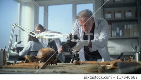 Senior archaeologist takes photo of fossil remains of prehistoric human skull with camera 117640662