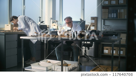 Senior archaeologist examines bones in archaeological laboratory 117640708