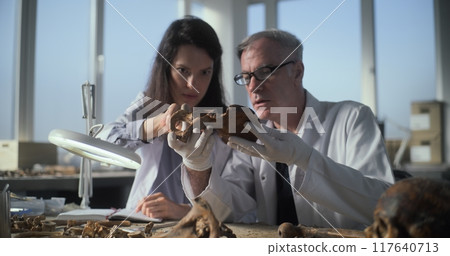 Male and female paleoanthropologists studying fossil remains of ancient bones 117640713