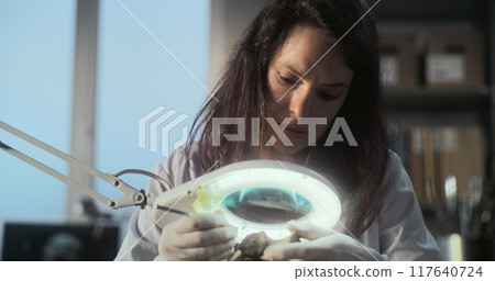 Female archaeologist cleans fossil bones using brush and tools 117640724