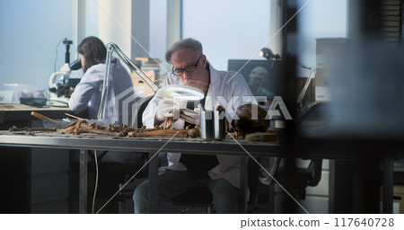 Senior male archaeologist studies skeleton remains in archaeological lab 117640728