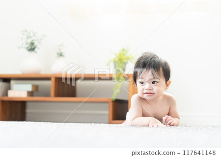 嬰兒爬行 117641148