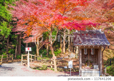 【水澤紅葉谷】的紅葉（三重縣四日市市） 117641206