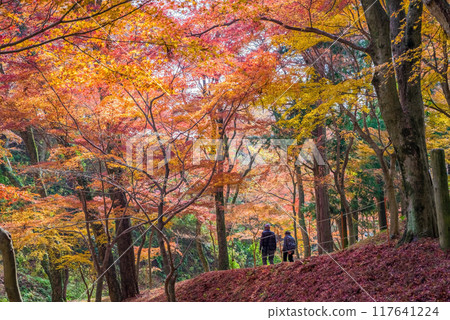 【水澤紅葉谷】的紅葉（三重縣四日市市） 117641224