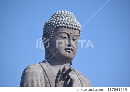 Ushiku Daibutsu世界上最大的銅像 Ushiku Daibutsu世界上最大的銅像 117641319