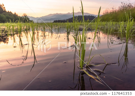 240622 Ueno-daira z067 240622 Ueno-daira z067 117641353