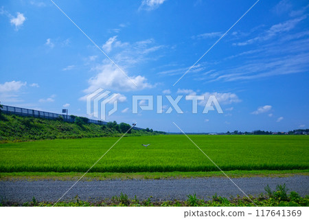 從日本海東北高速公路、大町出雲坂田市、東坂田站附近一海浬眺望莊內地區的田園風光 117641369
