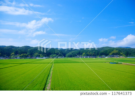 View of the rural landscape of the Shonai region from the nautical mile, Yabiki, Tsuruoka City View of the rural landscape of the Shonai region from the nautical mile, Yabiki, Tsuruoka City 117641373