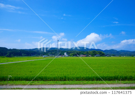 鶴岡市大原、宇前水澤站附近，一海里之外眺望莊內地區的田園風光 117641375