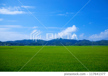 View of the rural landscape of the Shonai region from the nautical miles away, Nakadate, Tsuruoka City 117641377