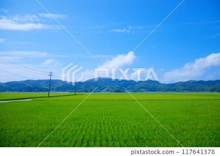 View of the rural landscape of the Shonai region from the nautical miles away, Nakadate, Tsuruoka City 117641378