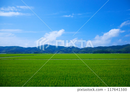 View of the rural landscape of the Shonai region from the nautical miles away, Shimokoya, Tsuruoka City View of the rural landscape of the Shonai region from the nautical miles away, Shimokoya, Tsuruoka City 117641380