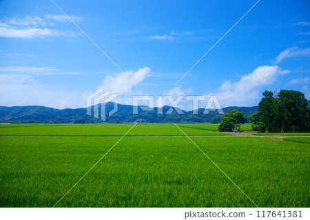 View of the rural landscape of the Shonai region from a nautical mile away. Yachi Kannon, Shimokiya, Tsuruoka City. View of the rural landscape of the Shonai region from a nautical mile away. Yachi Kannon, Shimokiya, Tsuruoka City. 117641381
