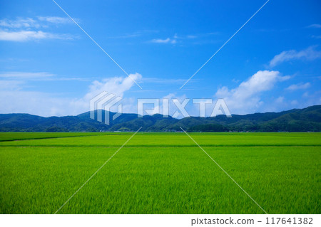 View of the rural landscape of the Shonai region from the nautical miles away, Shimokoya, Tsuruoka City View of the rural landscape of the Shonai region from the nautical miles away, Shimokoya, Tsuruoka City 117641382