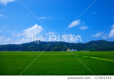 從一海裡俯瞰莊內地區鄉村的鶴岡市板屋 從一海裡俯瞰莊內地區鄉村的鶴岡市板屋 117641434