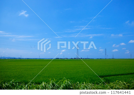 View of the rural landscape of the Shonai region from a nautical mile away. Kami Fujishima, Tsuruoka City 117641441