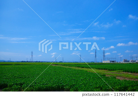 View of the Shonai substation from the nautical miles away, near Fujishima Station, Shinyashiki, Tsuruoka City 117641442